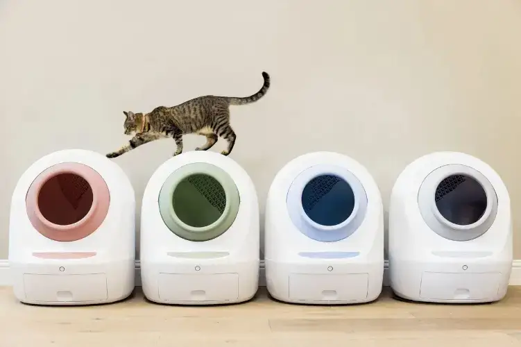 Leo’s Loo Too revolutionizes cat care with UV sterilization, smart app control, and voice commands.