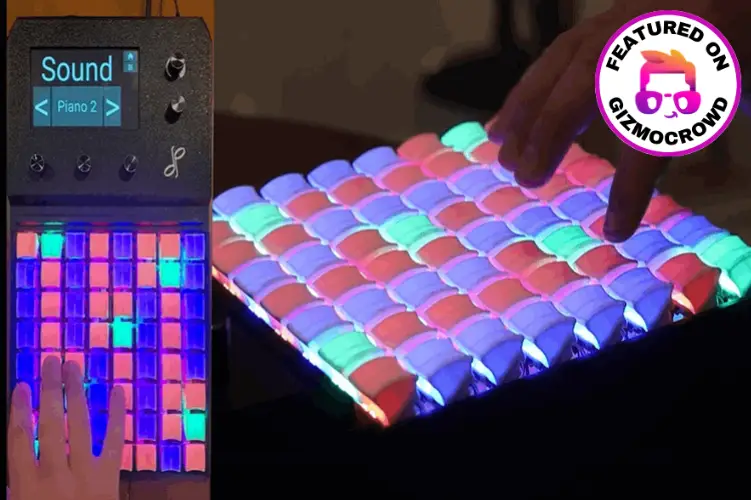 Dog Paw - Featured on GizmoCrowd